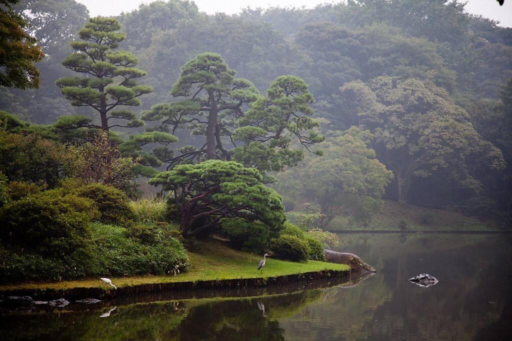 Tora Hotel Tokyo-Rikugienn 寅ホテル 六義園 C ภายนอก รูปภาพ